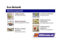 Exo_Botanik_Bestimmungstafel.jpg